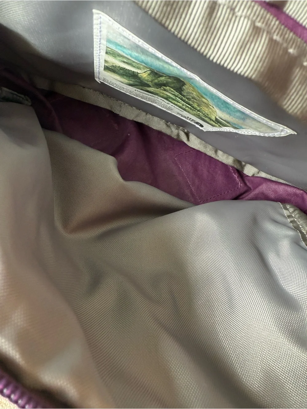 THE NORTH FACE Berkeley Lumbar, Black Currant Purple Yellow Silt, One Size